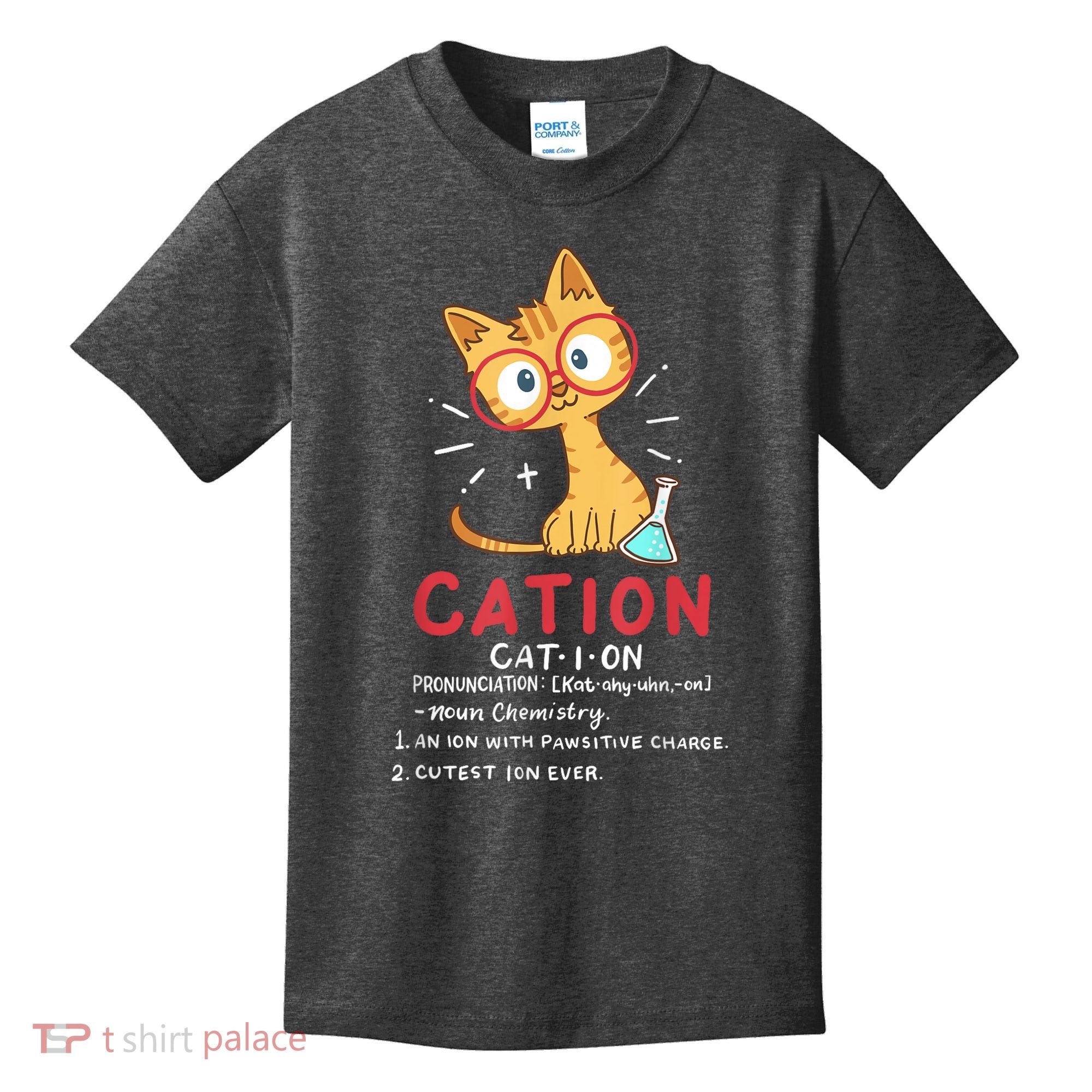 Cation Science Cat Funny Chemistry Chemist Science Teacher Kids T-Shirt