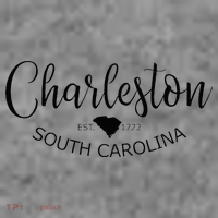 Charleston South Carolina Apparel Charleston SC US City Toddler Hoodie thumb 2