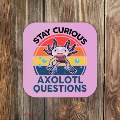 Cute Stay Curious Axolotl Questions Axolotl  Coaster