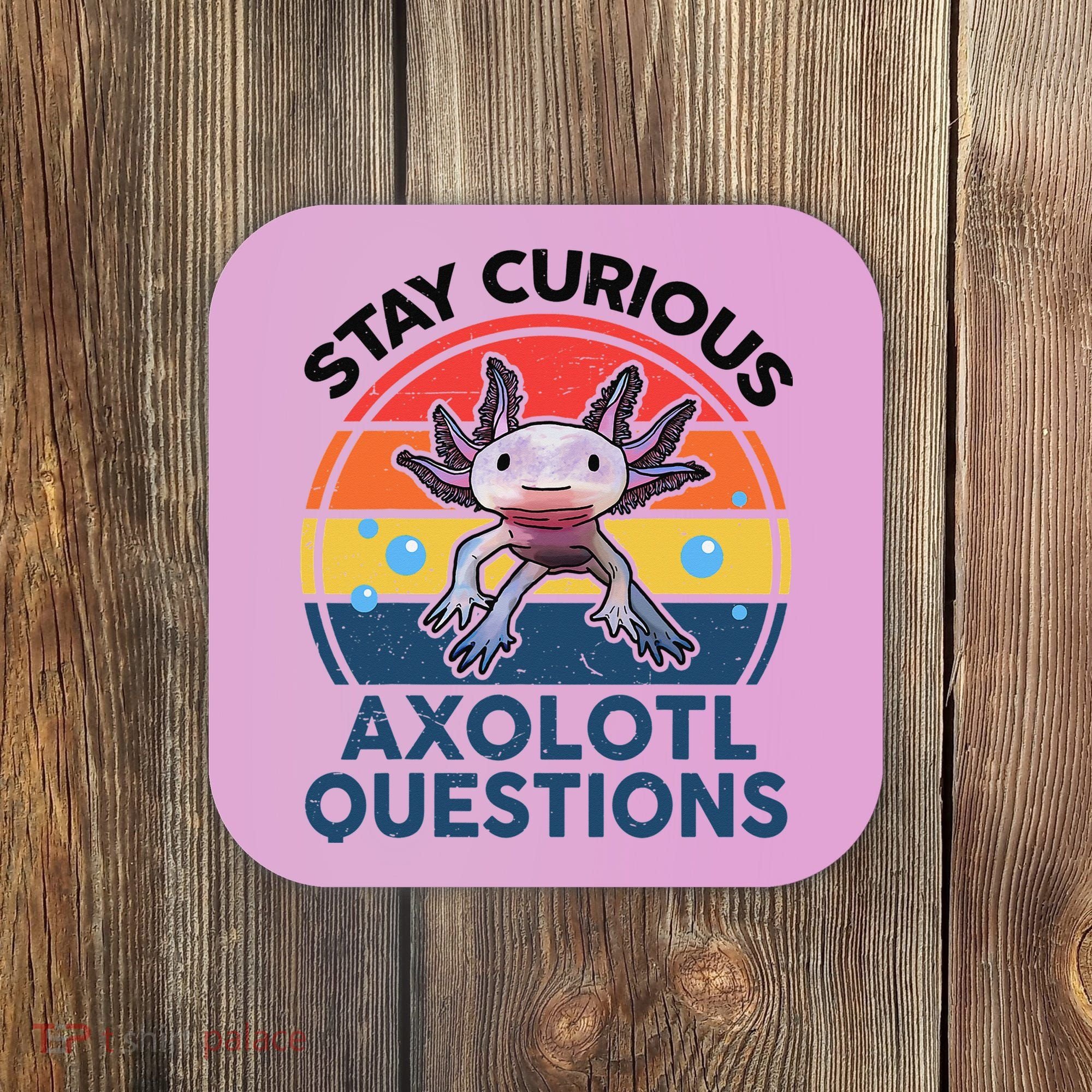 Cute Stay Curious Axolotl Questions Axolotl  Coaster