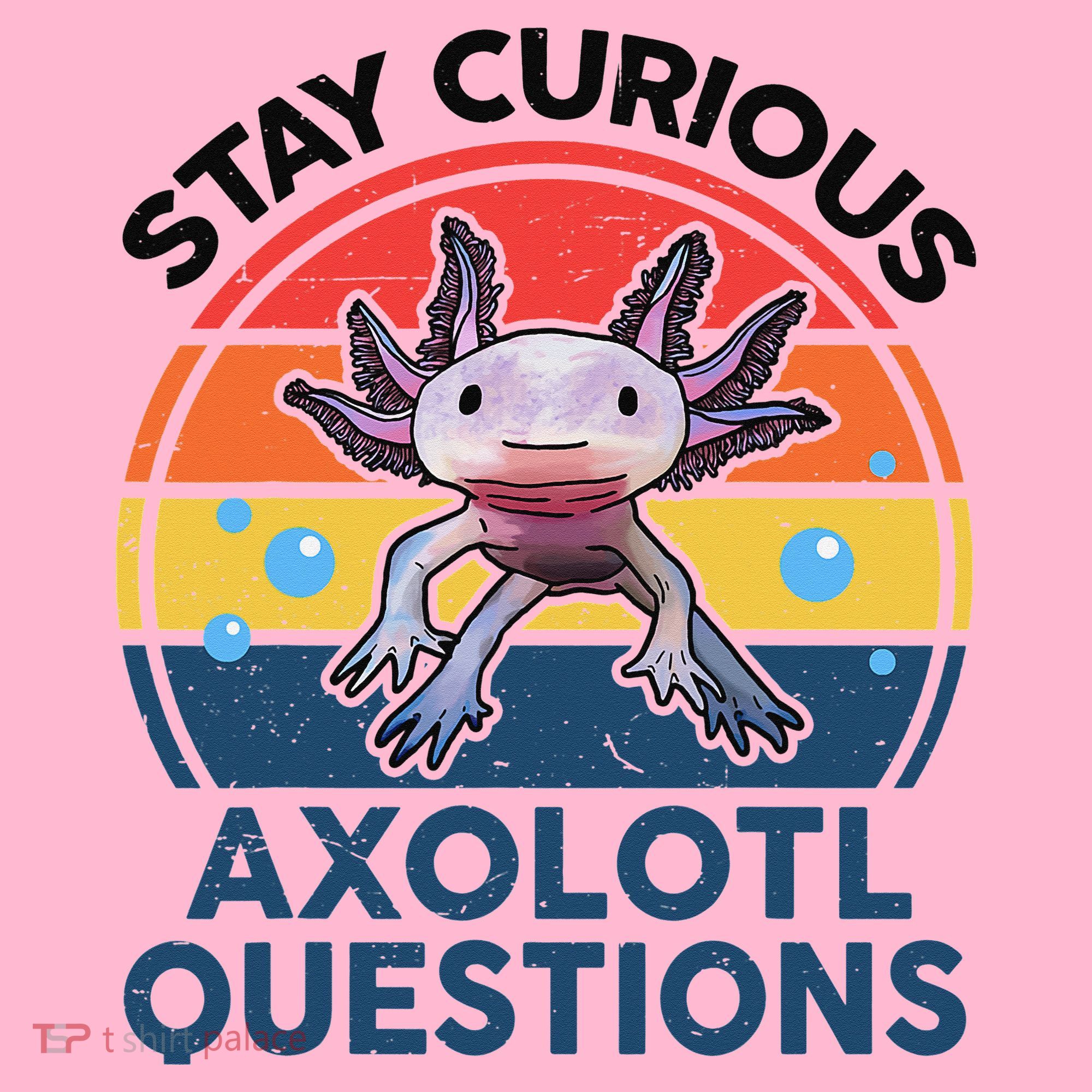 Cute Stay Curious Axolotl Questions Axolotl  Coaster