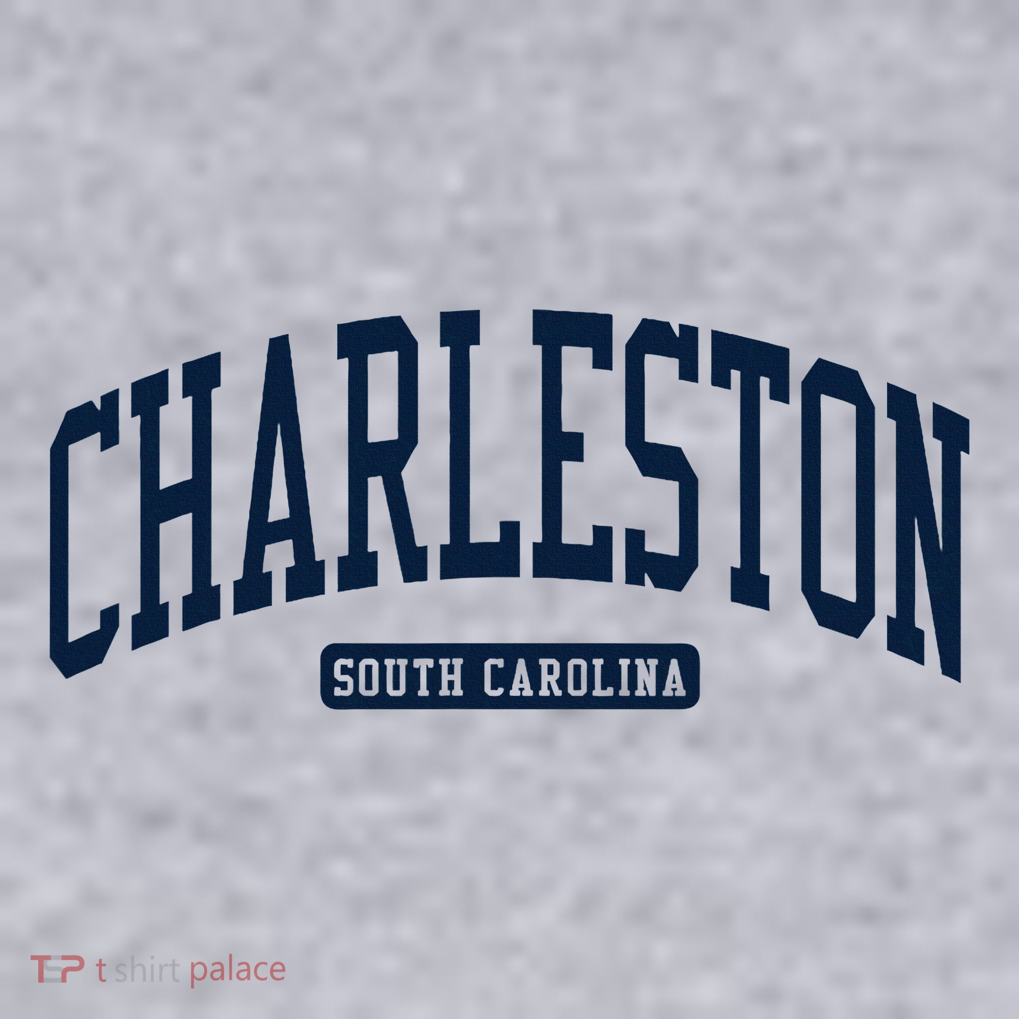 Charleston South Carolina Sc College University Style Women's Sweatshirt