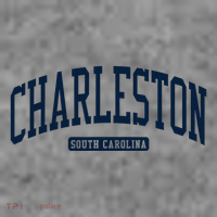 Charleston South Carolina Sc College University Style Toddler Hoodie thumb 2