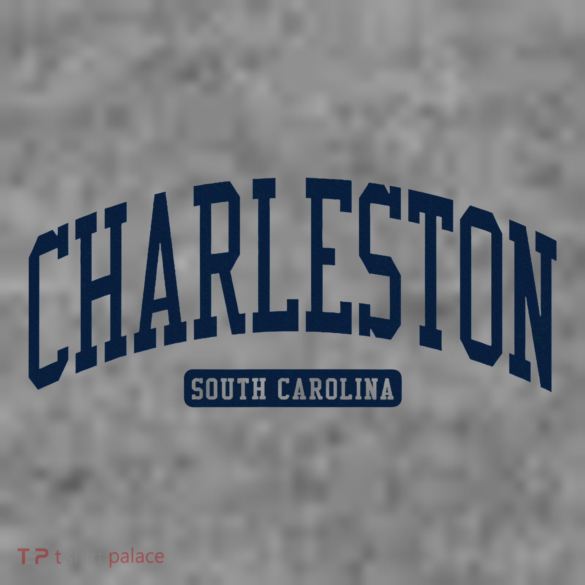 Charleston South Carolina Sc College University Style Toddler Hoodie