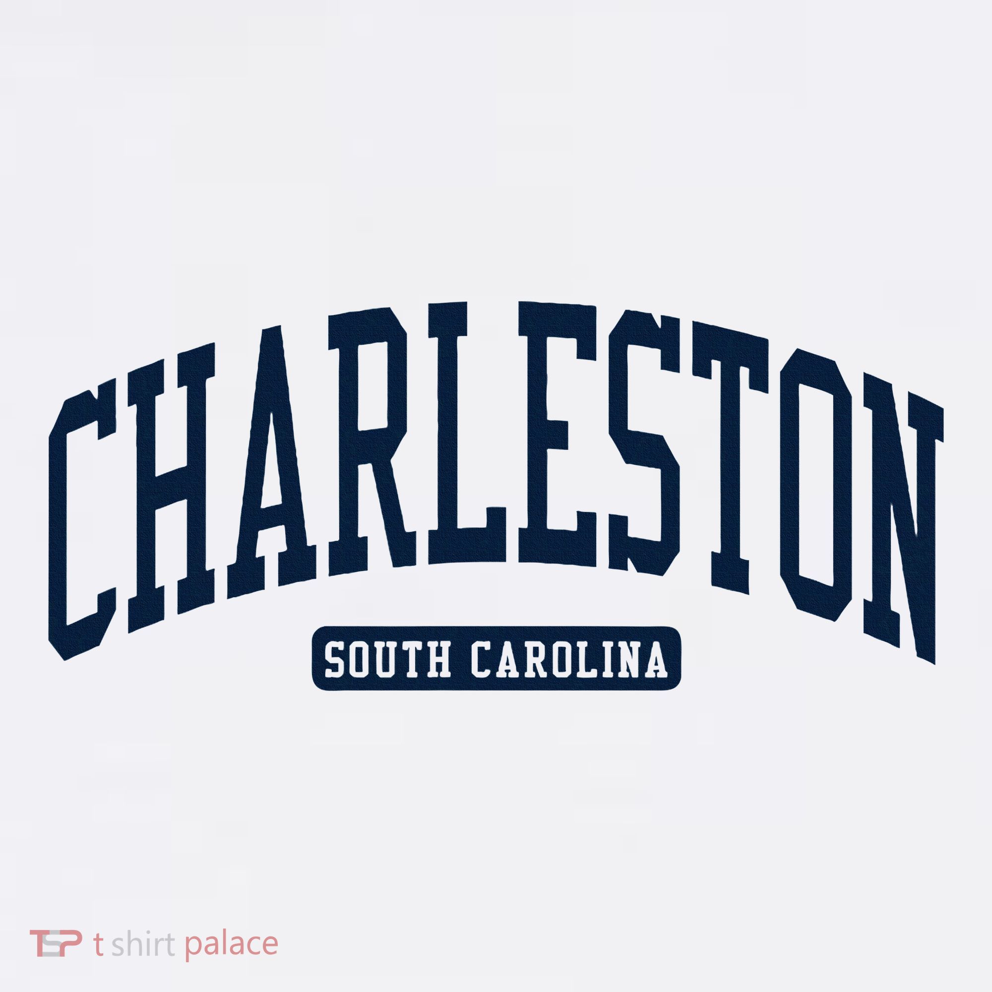 Charleston South Carolina Sc College University Style Women's Hoodie