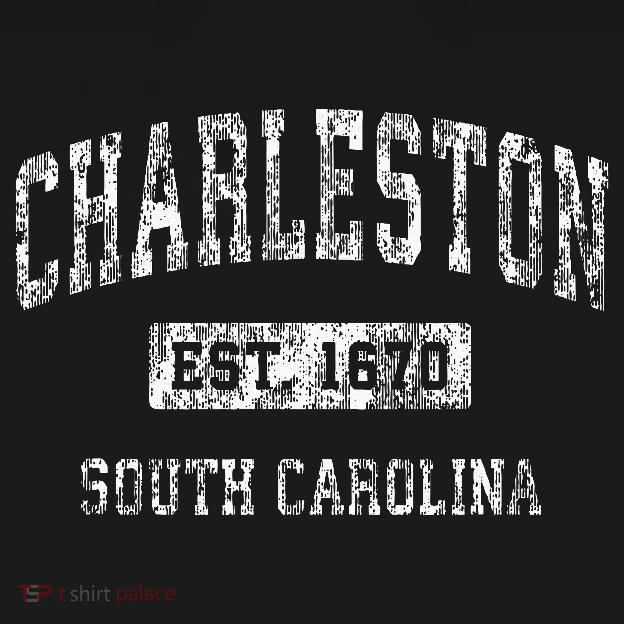 Charleston South Carolina Sc Vintage Established Sports T-Shirt