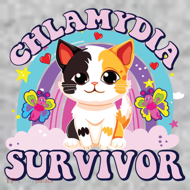 Chlamydia Survivor Cat Meme Funny The Baniff Cuffed Pom Beanie