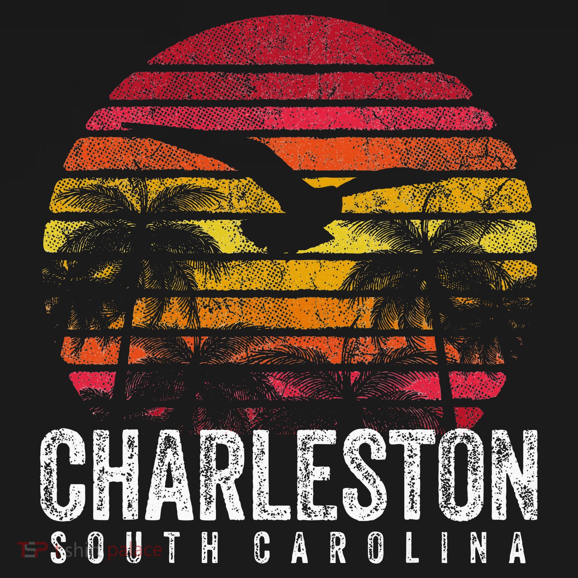Charleston South Carolina Retro 70s 80s Style Women's Hoodie