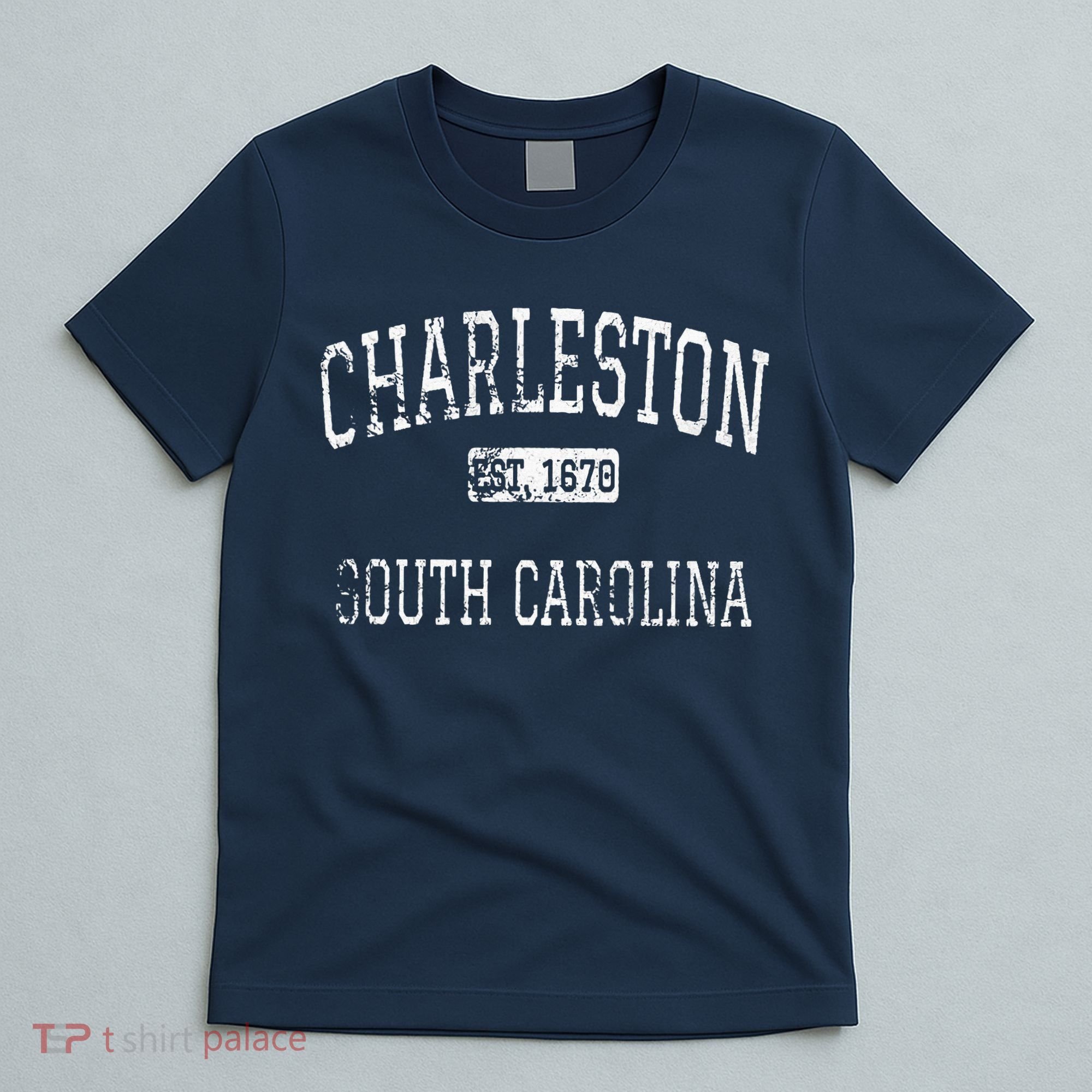 Charleston South Carolina SC Vintage T-Shirt