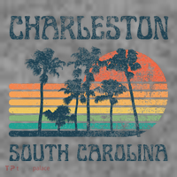 Charleston South Carolina Beach Summer Vacation Toddler Hoodie thumb 2