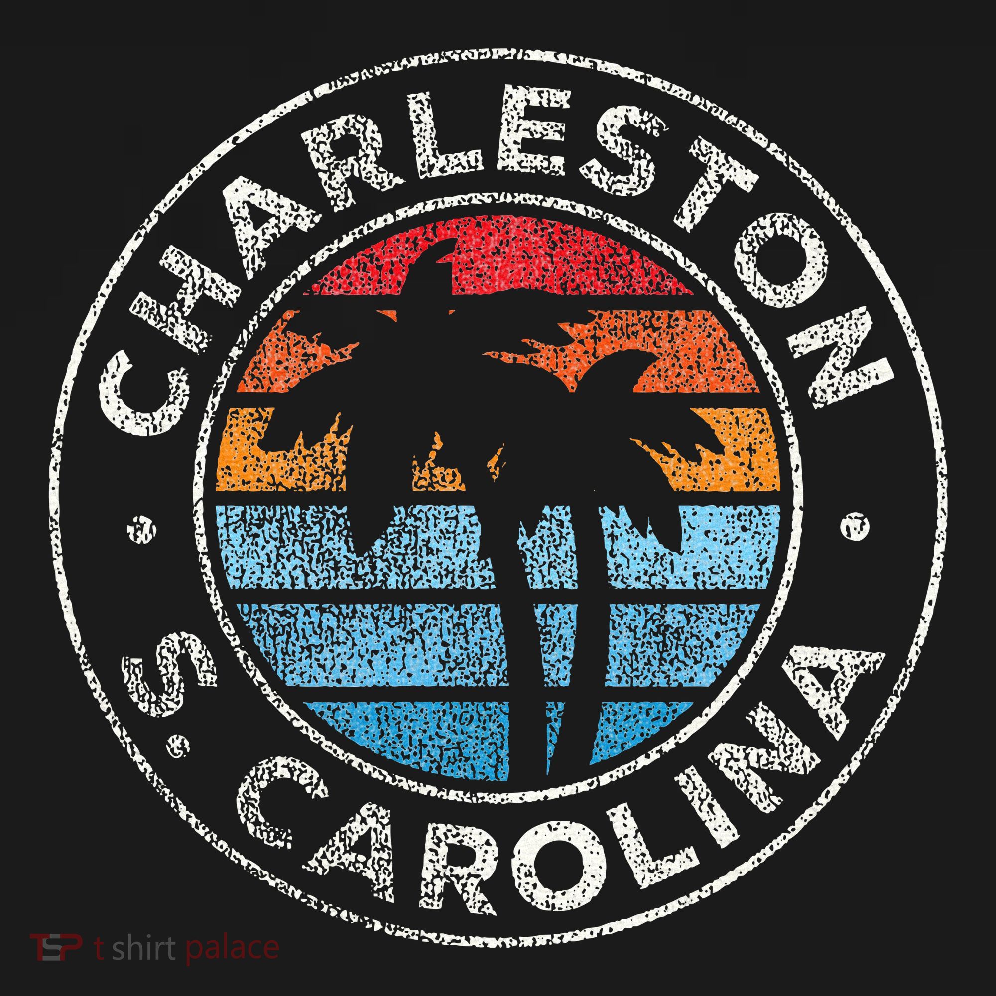 Charleston South Carolina Sc Vintage T-Shirt