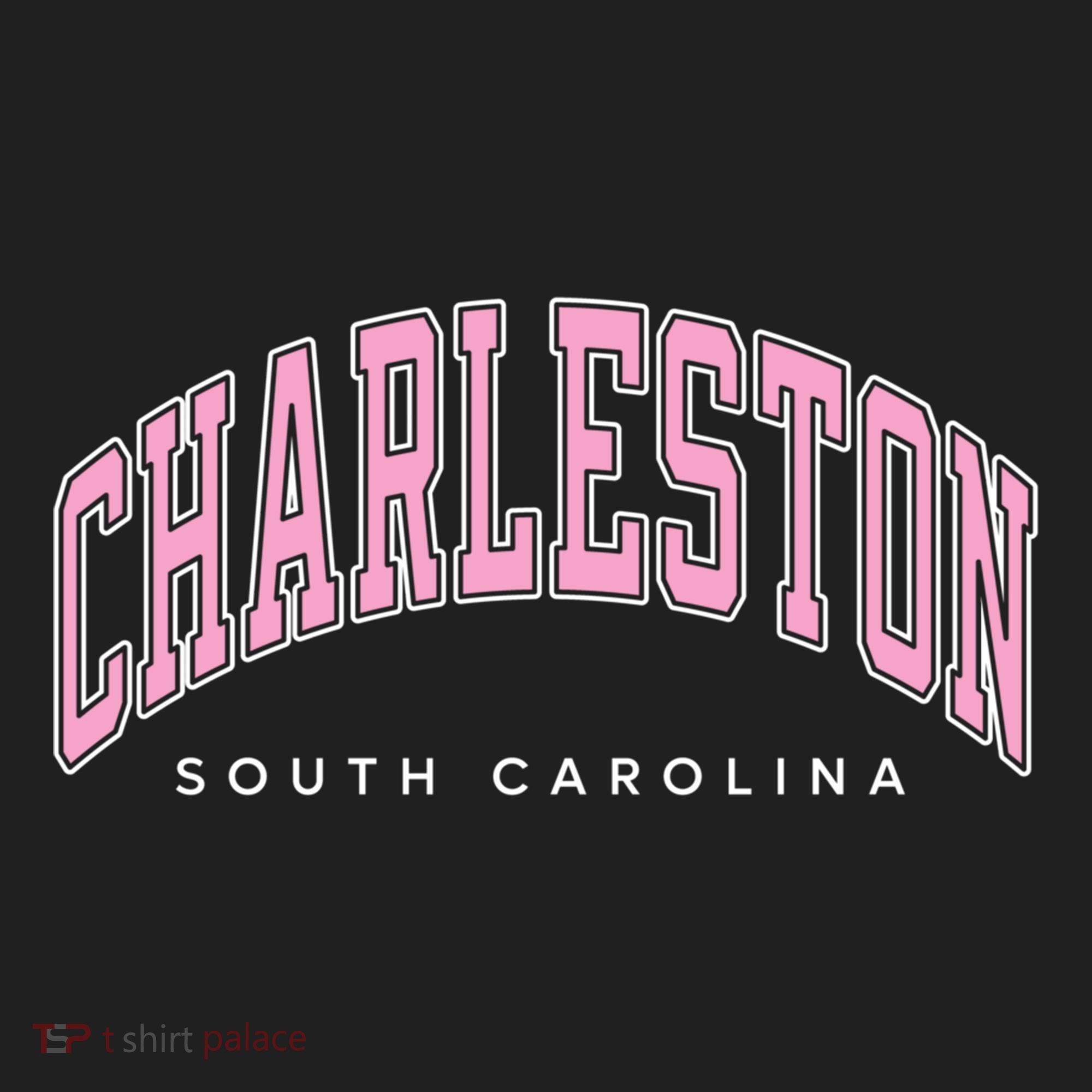 Charleston South Carolina Sc Varsity Style Text Gift Women's Sweatshirt