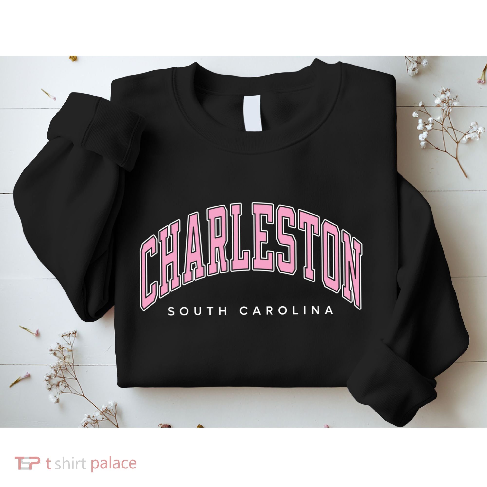 Charleston South Carolina Sc Varsity Style Text Gift Sweatshirt