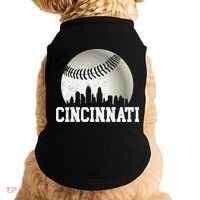 Cincinnati Skyline City Baseball Met At Doggie Tank thumb 0