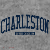 Charleston South Carolina Sc College University Style Toddler Hoodie thumb 2