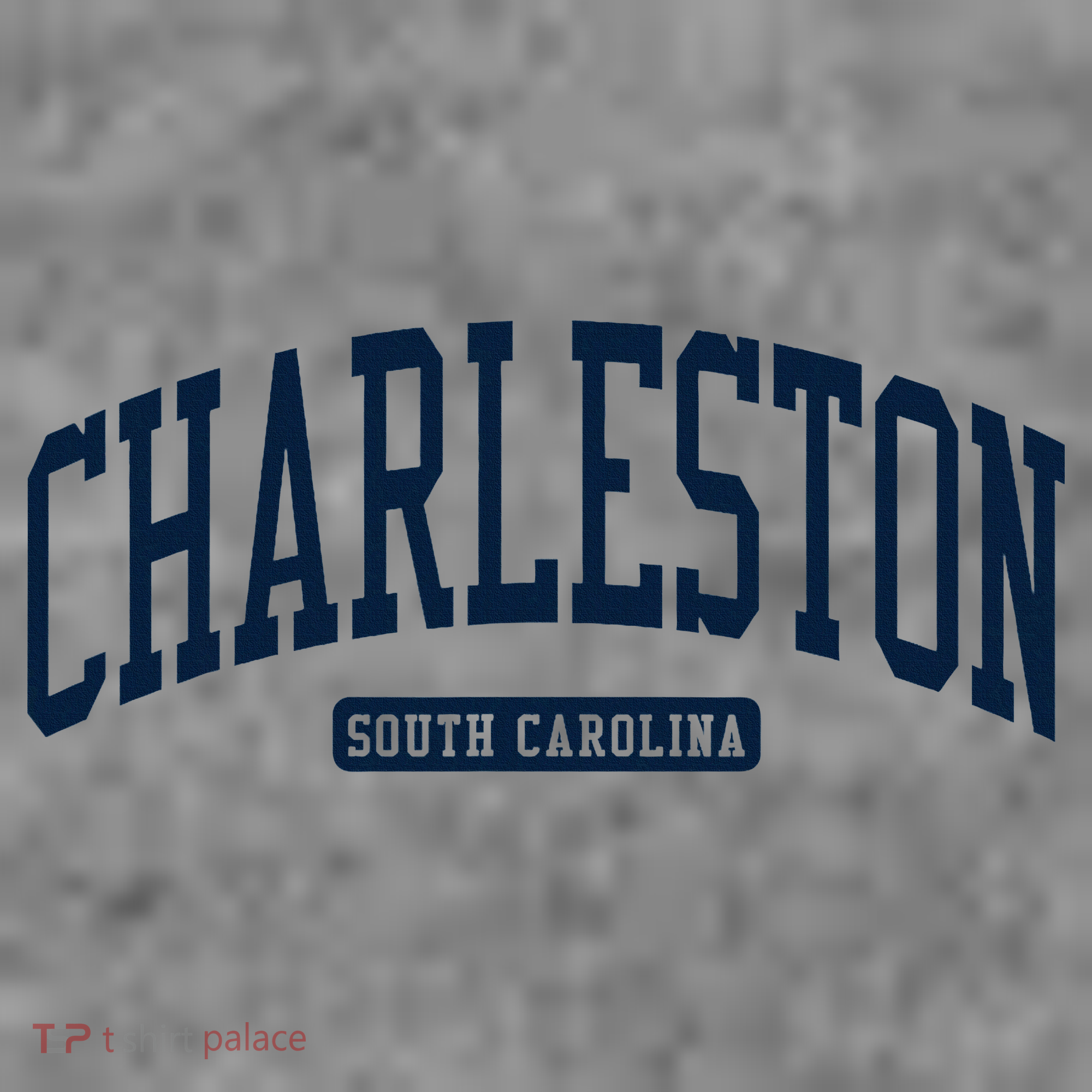 Charleston South Carolina Sc College University Style Toddler Hoodie