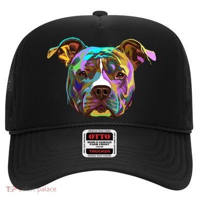 Colourful Splash Dog American Staffordshire Terrier Gift Hat