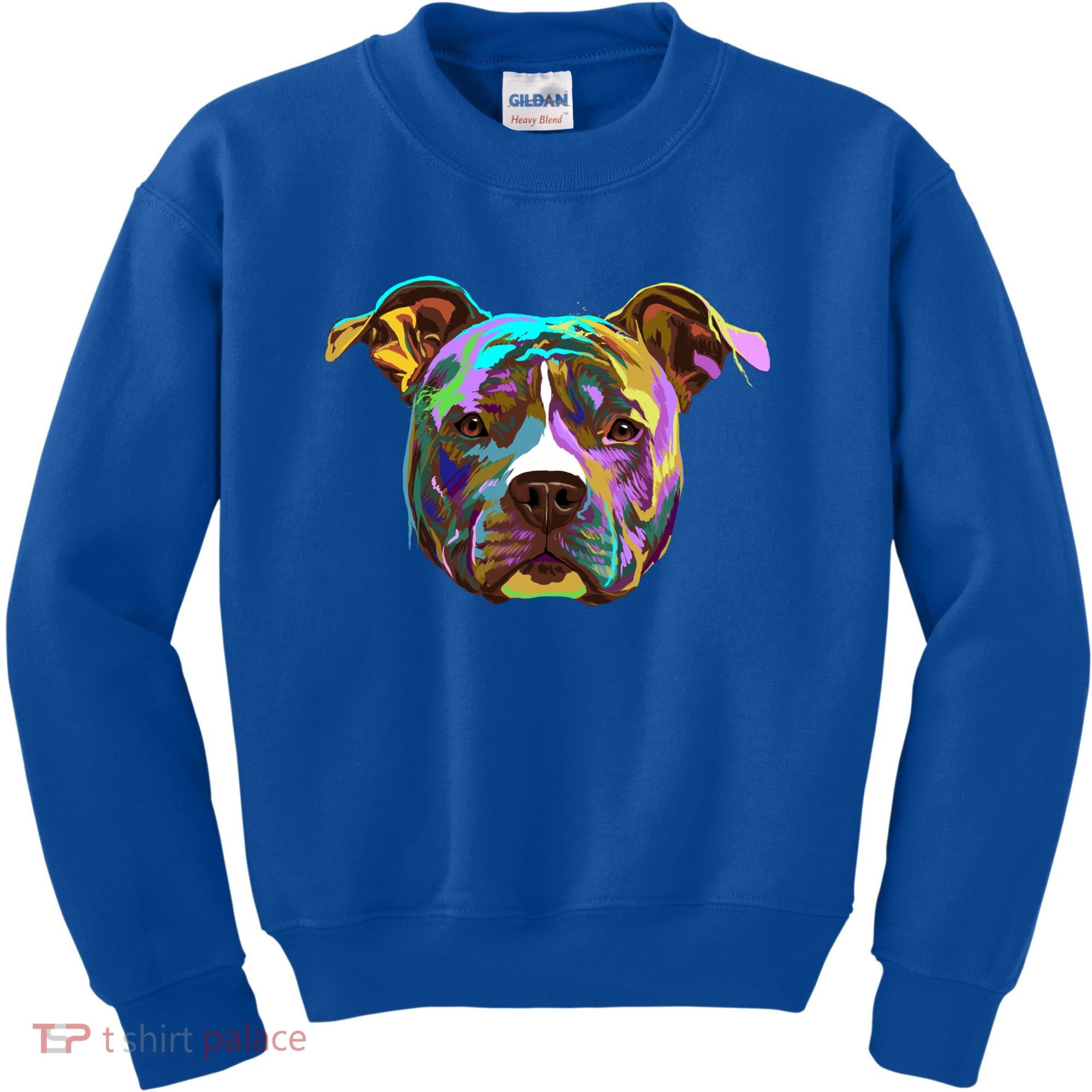 Colourful Splash Dog American Staffordshire Terrier Gift Kids Sweatshirt