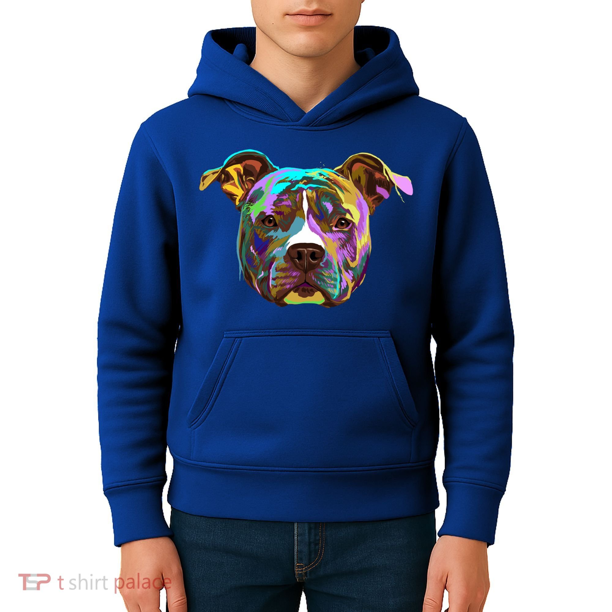 Colourful Splash Dog American Staffordshire Terrier Gift Kids Hoodie