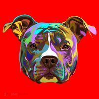 Colourful Splash Dog American Staffordshire Terrier Gift Santa Hat thumb 1