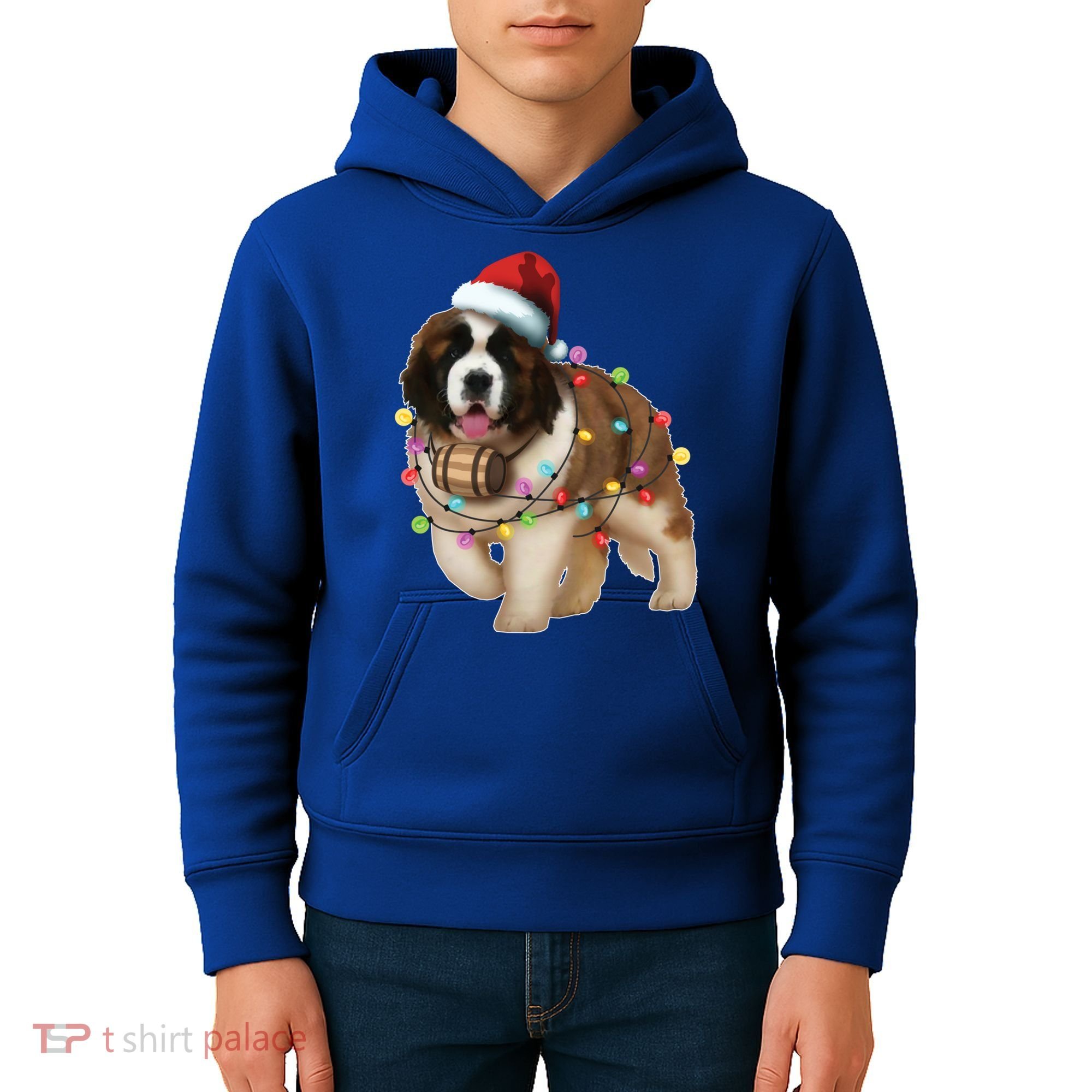 Christmas Santa Dog St Bernard Saint Xmas Dog Lover Gift Kids Hoodie