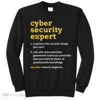 Cyber Security Expert Definition Distressed Computer Geek Gift Sweatshirt thumb 0