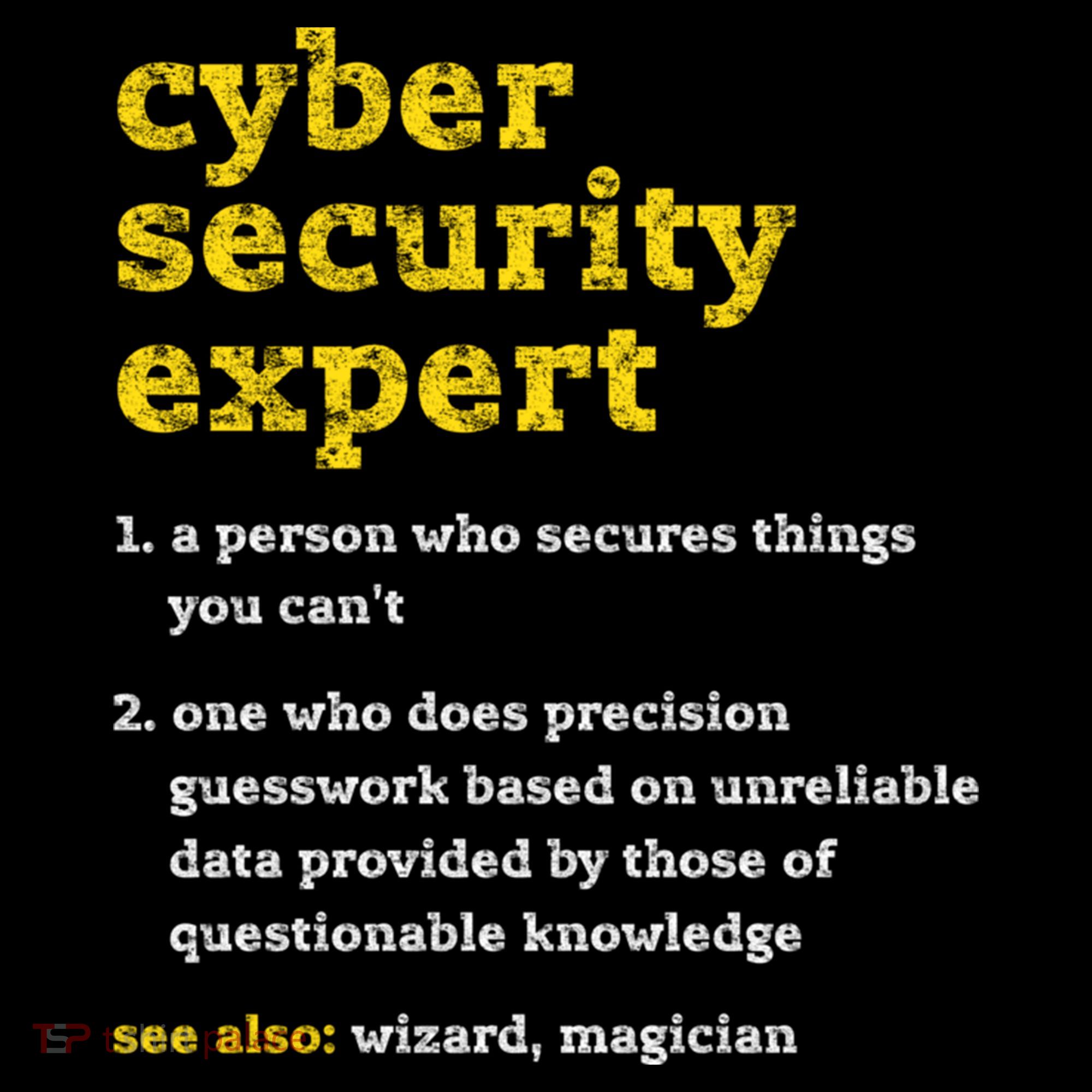 Cyber Security Expert Definition Distressed Computer Geek Gift Sweatshirt