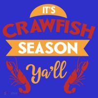 Crawfish Season Funnt Vintage Boil Party Southern Cooking Gift T-Shirt thumb 7