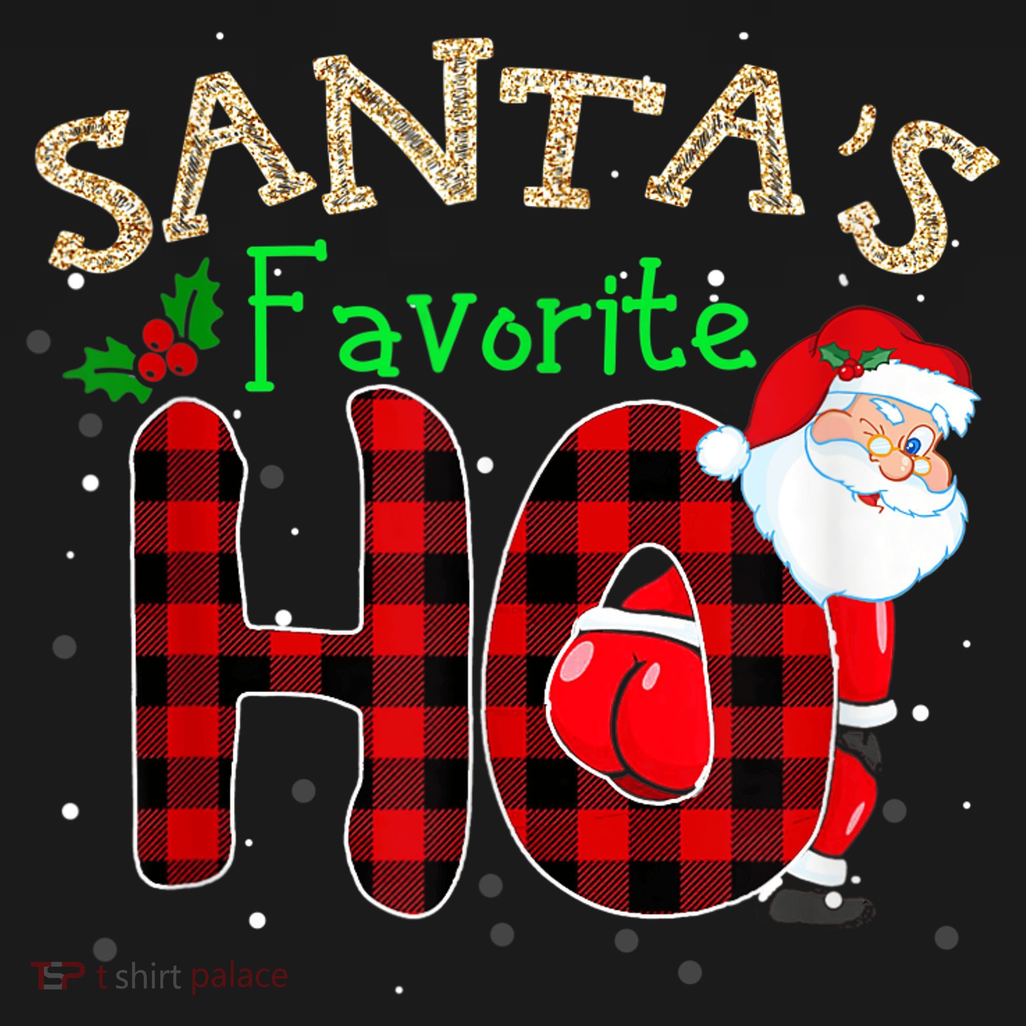 Christmas Santa's Favorite Ho Xmas Pajama Funny Naughty Women's Hoodie