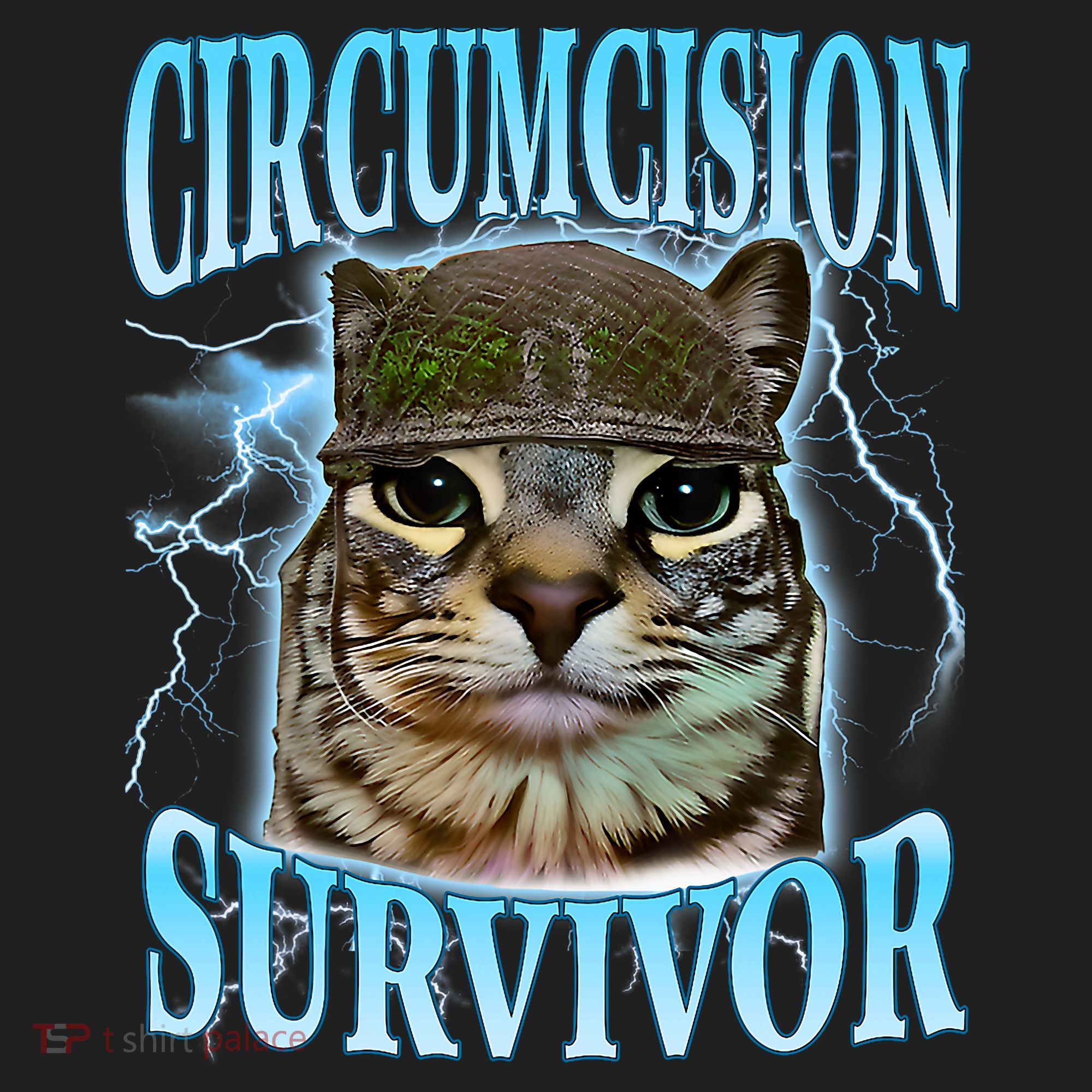 Circumcision Survivor Funny Oddly Specific Cat Meme Cats Women's Sweatshirt