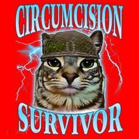 Circumcision Survivor Funny Oddly Specific Cat Meme Cats Santa Hat thumb 1