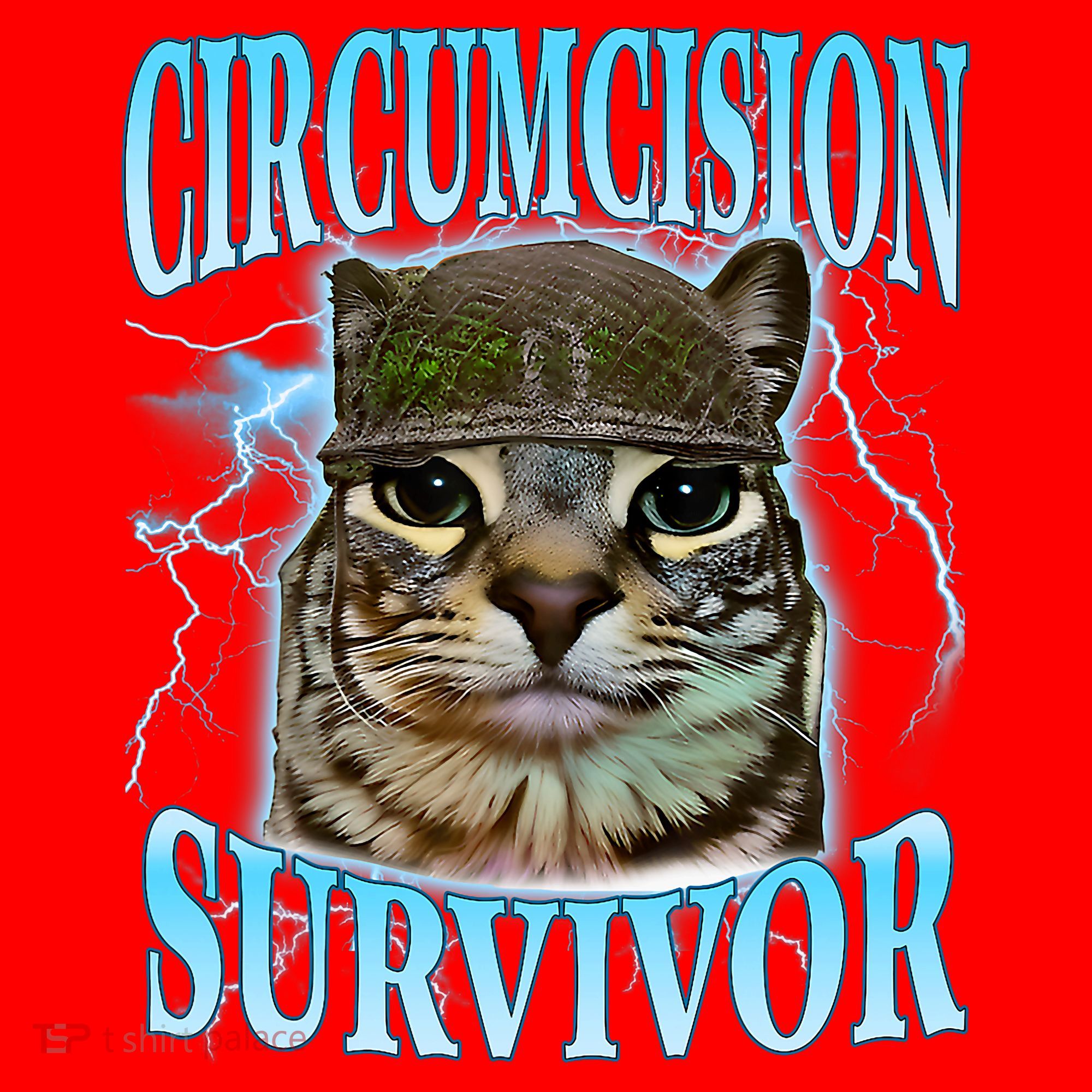 Circumcision Survivor Funny Oddly Specific Cat Meme Cats Santa Hat