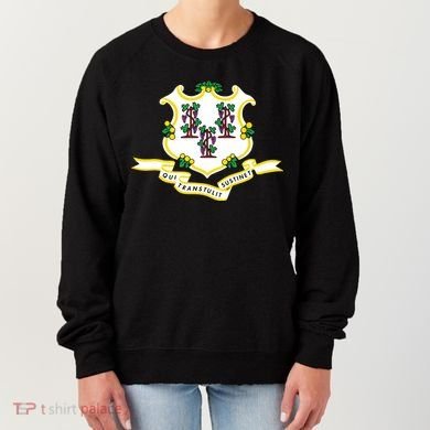 Connecticut State Flag Women's Sweatshirt
