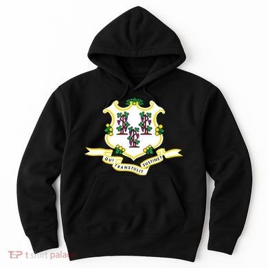 Connecticut State Flag Hoodie