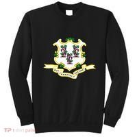 Connecticut State Flag Sweatshirt thumb 0