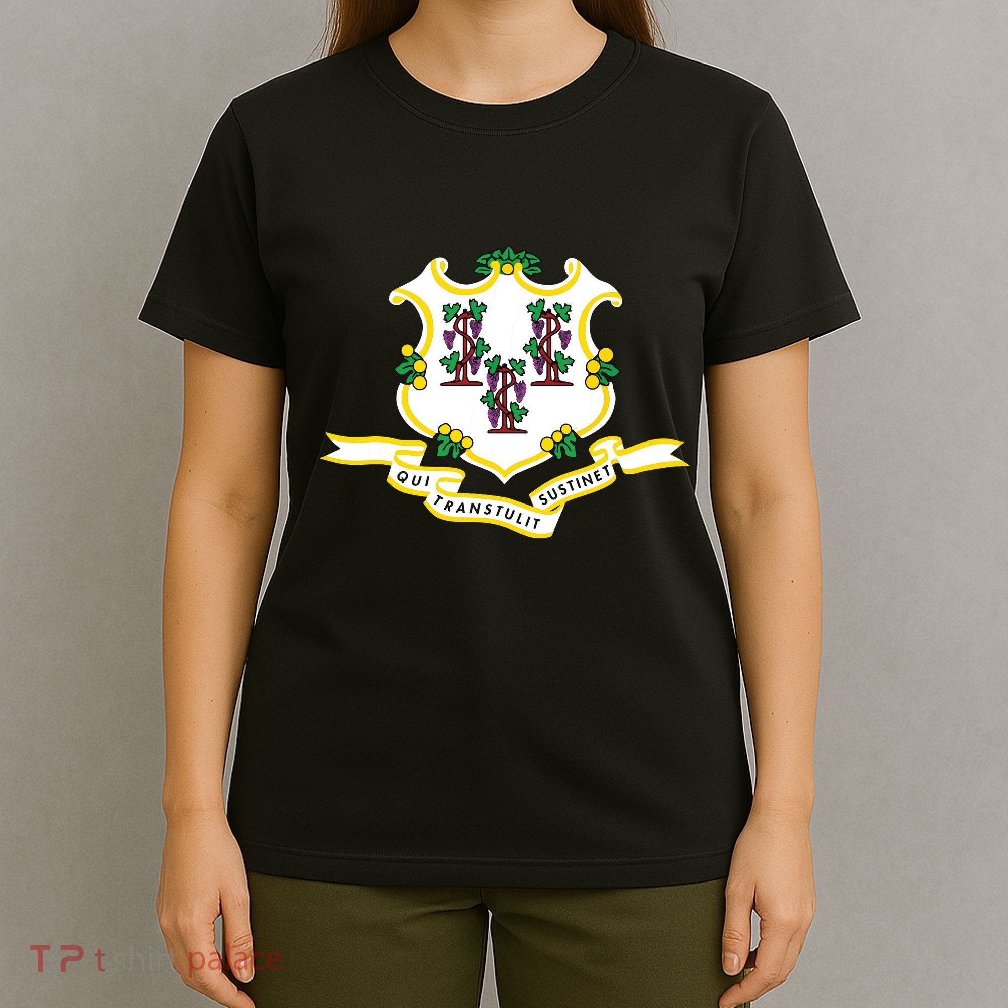 Connecticut State Flag T-Shirt