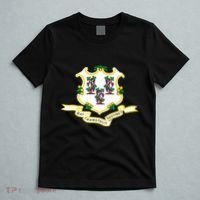 Connecticut State Flag T-Shirt thumb 5