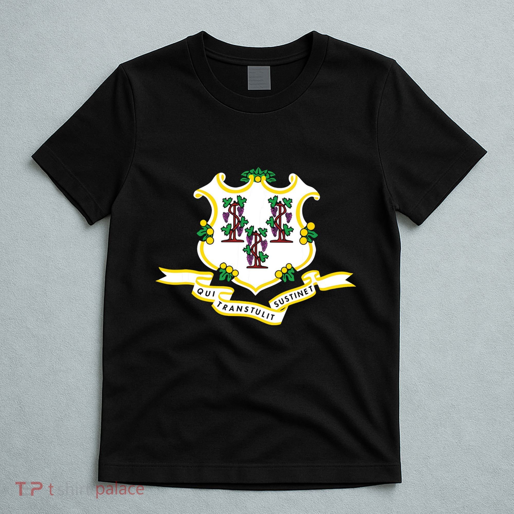 Connecticut State Flag T-Shirt