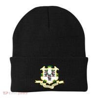 Connecticut State Flag Beanie thumb 0