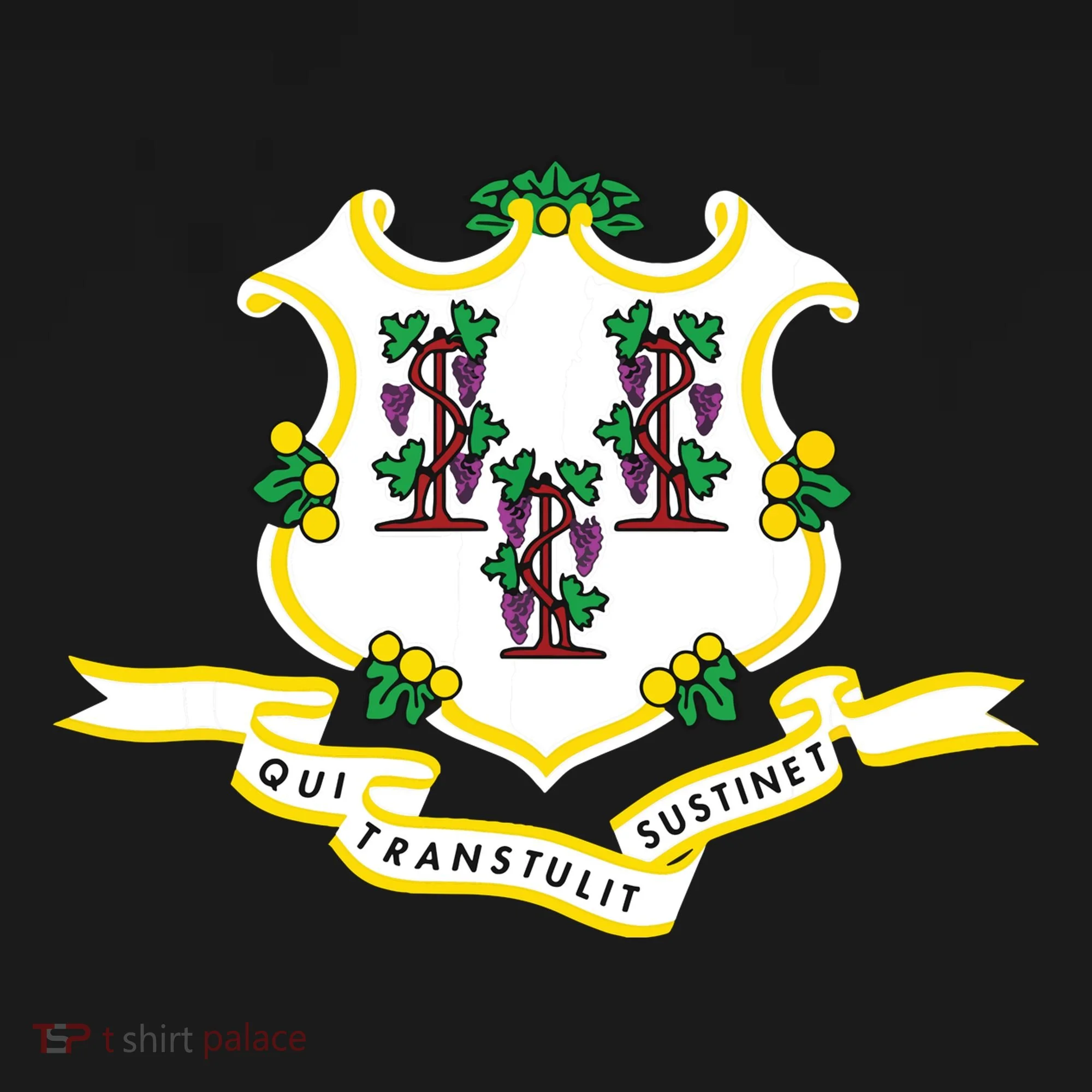 Connecticut State Flag Women's Tank Top