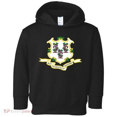 Connecticut State Flag Toddler Hoodie