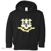Connecticut State Flag Toddler Hoodie thumb 0