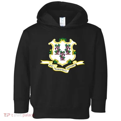 Connecticut State Flag Toddler Hoodie