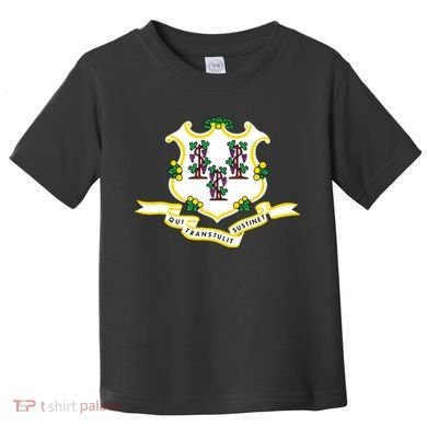 Connecticut State Flag Toddler T-Shirt