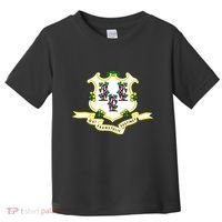 Connecticut State Flag Toddler T-Shirt thumb 0
