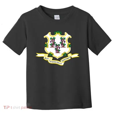 Connecticut State Flag Toddler T-Shirt