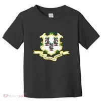 Connecticut State Flag Toddler T-Shirt thumb 0