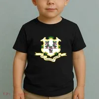 Connecticut State Flag Toddler T-Shirt thumb 2