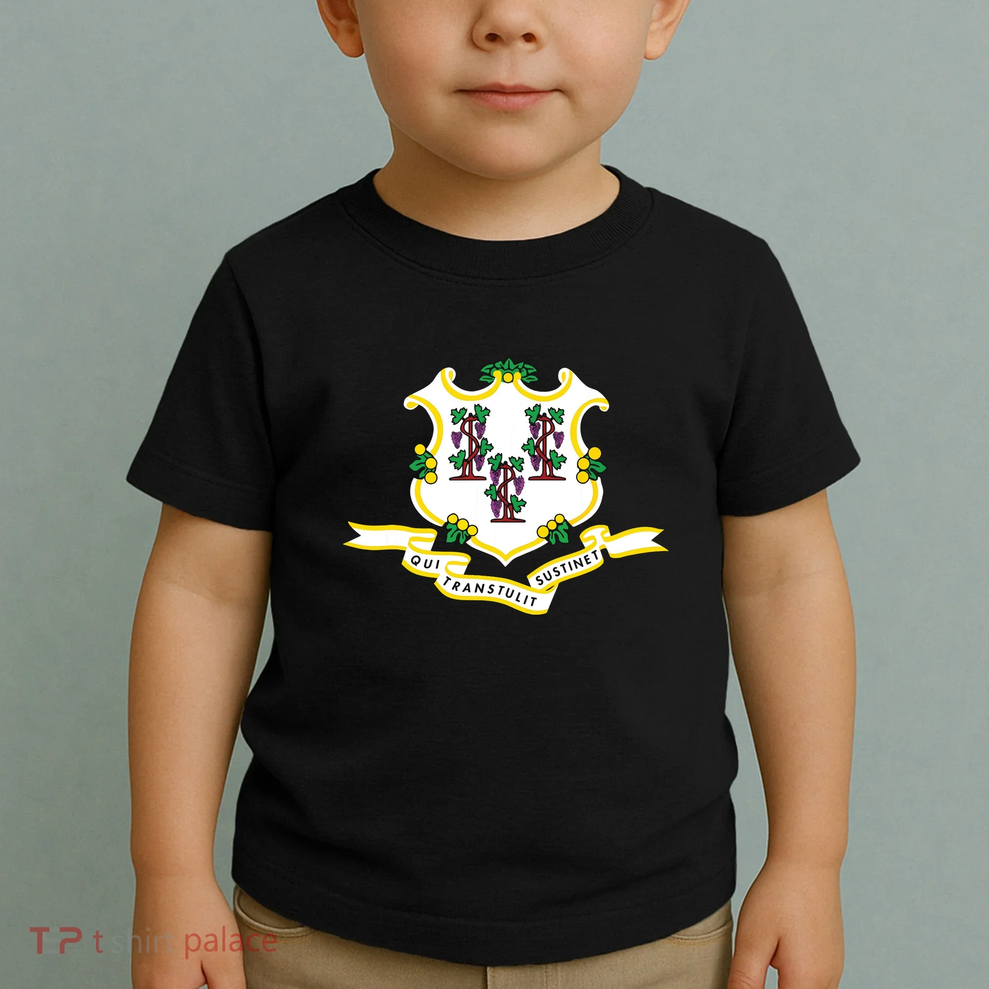 Connecticut State Flag Toddler T-Shirt