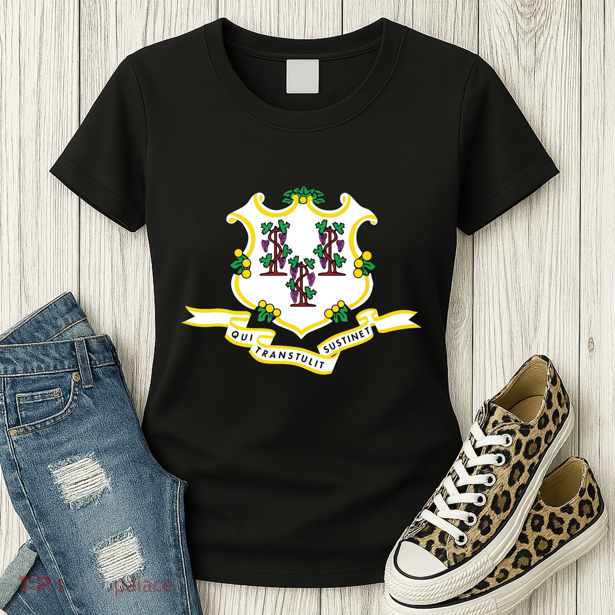 Connecticut State Flag Women's T-Shirt